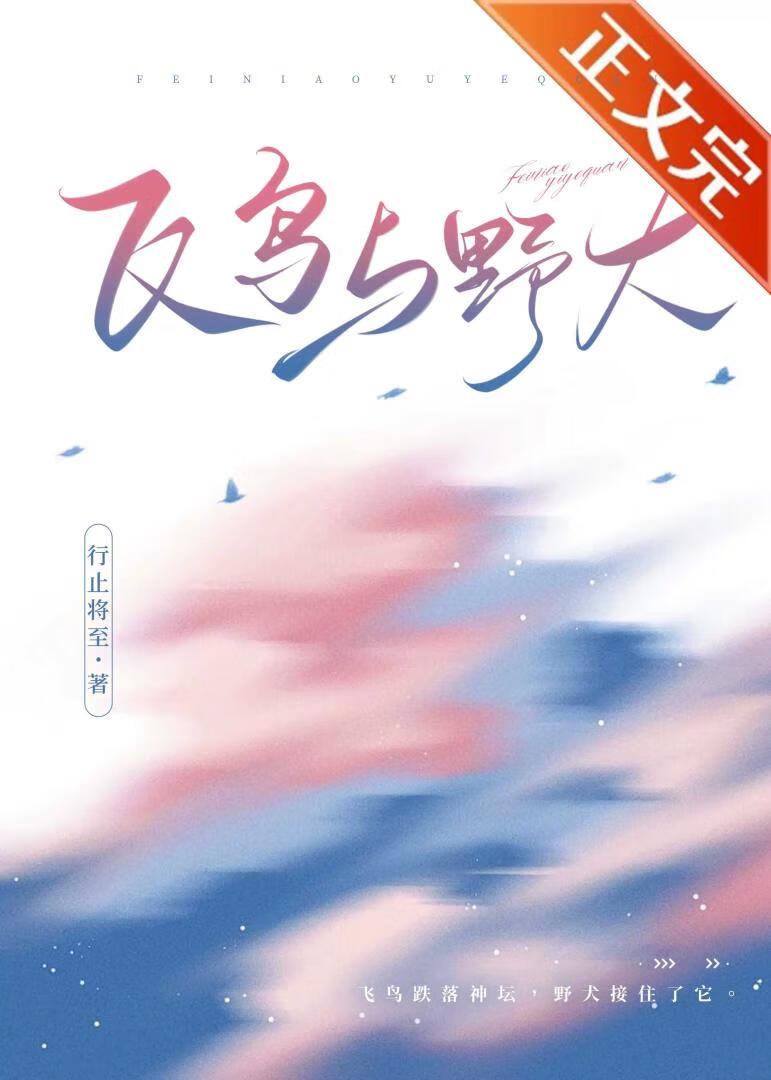 飞鸟与野犬