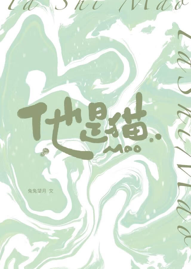 他是猫